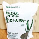 백령다시마