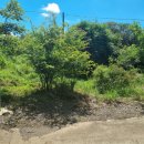 이제이공인중개사사무소 이미지