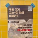 대전 판암동 키토김밥맛집 김밥덕후 (내돈내산 포장후기)