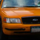 아나모헤어플란트의원 이미지