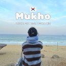 동해시종합버스터미널 | 서울에서 묵호 가는법 | 동서울터미널 고속버스 예약