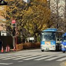 주식회사 익스프레스게임 | 도쿄여행 3박4일 : 도쿄 디즈니랜드 / DPA / 놀이기구 후기 / 신주쿠 스시로