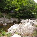 하늘아래첫농장 이미지