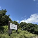 해인사관광안내소 | 주말 합천 해인사 방문기- 버스시간표, 근처 카페, 합천군청 맛집 추천