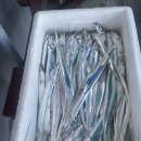 해남별암낚시터 이미지