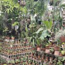 우성농원 이미지