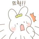 축산물 할인매장 이미지