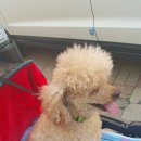 대왕세탁소 이미지