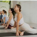 바디 밸런스 UP 요가&필라테스 이미지