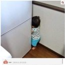 주간식당 이미지