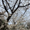 시도15호선 | 서촌 카멜커피! camel coffee 햇살 좋은날 경복궁 뷰 감상하기