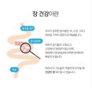 플러스82평화점 | 살던 과거는 안녕!" 지독한 변비·잦은 설사 싹 잡는 리만코리아 딥톡 플러스 리얼 후기 (feat. 남성 건강)