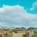 하도조아 이미지