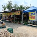 싱싱청과 이미지