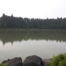 동산목장 이미지