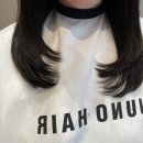 준오헤어 명동예술극장점 손질편한머리 레이어드컷 후기 사진 있음!