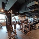 골져스 피트니스 | [운동의 퀄리티를 바꾸다, 범천동헬스장 골져스피트니스 솔직 후기]