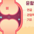 분당바른의원 이미지