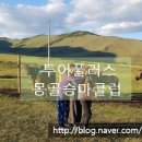 투어플러스몽골여행 이미지