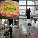 도전1000곡 | 16개월 아기와 떠난 3박4일 첫해외여행/삿포로여행후기