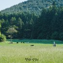 삼달리-7 이미지