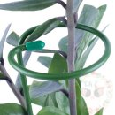 옥이텃밭 이미지