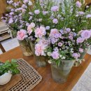 [25-3] 힐링꽃그림 (보태니컬 수채화) | [미소꽃예술학원] 10회차 핑크빛 솜사탕 같은 &#39;토피어리&#39; 만들기 🌸