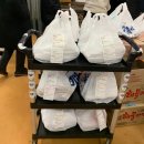 [서울] 노량진수산물도매시장 회 1티어 형제상회 후기