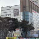 (주)고고퀸즈 이미지