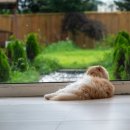 고영주택 이미지