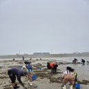학암동 213-1일원 | 충남 태안 안면도 유료 갯벌체험장 가볼만한곳 추천 맛조개 바지락 잡기 체험할 수 있는 올메기마을