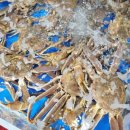 대성장식 | 부산 자갈치시장횟집 소주한잔엔 [대성횟집]