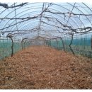 가곡농장 이미지