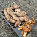서울대공원 캠핑장 | 과천 서울대공원 캠핑장 야영장 이용 후기
