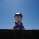 막내목장 이미지