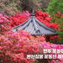 아가페정양원 이미지