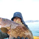 대박의 외수질 이미지