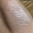 페퍼민트 | 오프라 하이라이터 데이드림, 페퍼민트, 시세이도 우루사 비교발색 후기