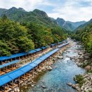 산북리쉼터 - 1500 | 2026 완주 운주계곡 평상 & 대둔산 완전정복 | 대둔산 도립공원 야영장 명당 + 화심순두부 미식 코스