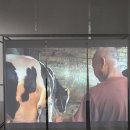 솔소리농장 이미지