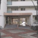 수원-1282 Daum카페