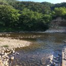 세솔팬션 이미지