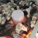 바람골농장 이미지