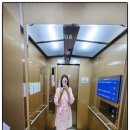 청십자유외과의원 네이버블로그