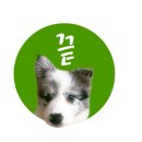 개가 사는 그집 이미지