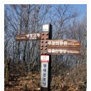 덕암3 Daum카페