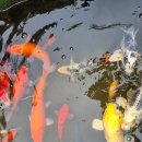 대가야셀프세차장 이미지