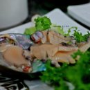 돌산 횟집 티스토리
