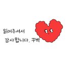 양숙이네횟집 | 포항 카라반 오선뷰 숙소 블루밍카라반 A-7 솔직후 감성 숙소 추천