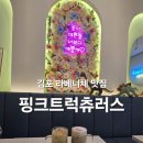 라베니체6차 화장실 | 라베니체 핑크트럭츄러스 김포 장기동 카페 맛집